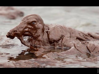 W12 green door-barnes