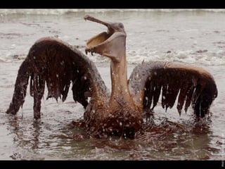 W12 green door-barnes