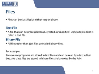 W13. Serialization object oriented programming.pptx