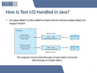 W13. Serialization object oriented programming.pptx