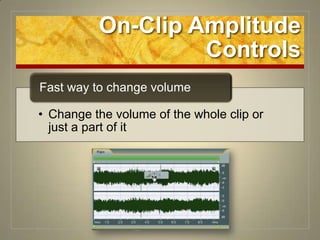 On-Clip Amplitude Controls