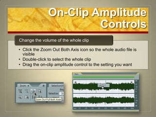 On-Clip Amplitude Controls