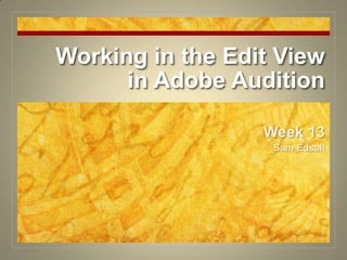 Working in the Edit View in Adobe AuditionWeek 13Sam Edsall