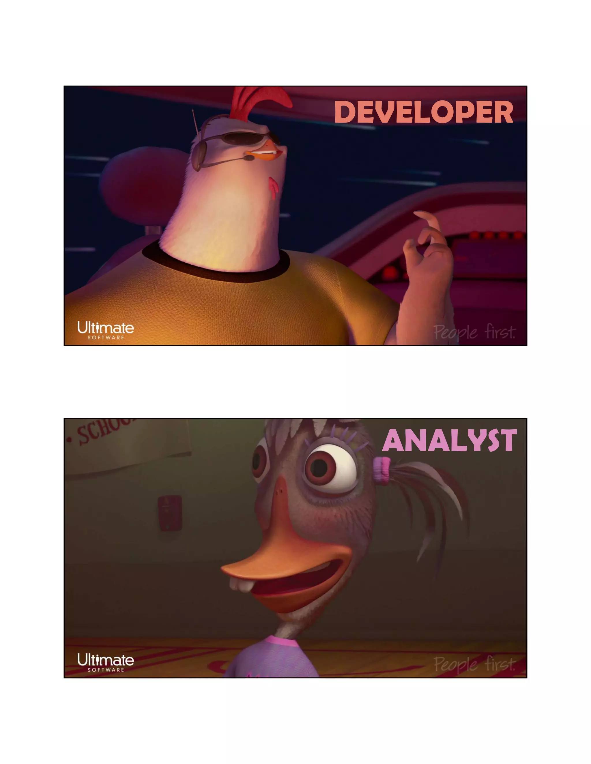 DEVELOPER
ANALYST
 
