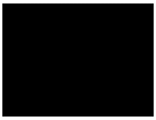 Test Automation for Packaged Systems: Yes, You Can!