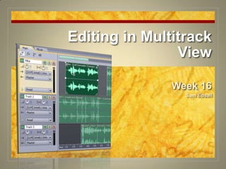 Editing in MultitrackView Week 16 Sam Edsall 