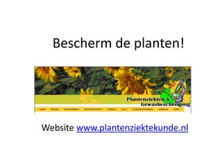 Bescherm de planten!




Website www.plantenziektekunde.nl
 