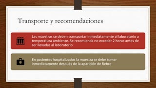 Transporte y recomendaciones
Las muestras se deben transportar inmediatamente al laboratorio a
temperatura ambiente. Se recomienda no exceder 2 horas antes de
ser llevadas al laboratorio
En pacientes hospitalizados la muestra se debe tomar
inmediatamente después de la aparición de fiebre
 
