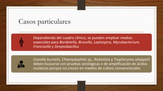 Casos particulares
Dependiendo del cuadro clínico, se pueden emplear medios
especiales para Bordetella, Brucella, Leptospira, Mycobacterium,
Francisella y Streptobacillus
Coxiella burnetii, Chlamydophila sp., Rickettsia y Tropheryma whippelii
deben buscarse con pruebas serológicas o de amplificación de ácidos
nucleicos porque no crecen en medios de cultivo convencionales
 