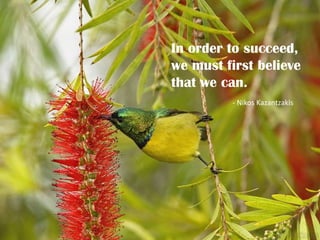 In order to succeed,
we must first believe
that we can.
         - Nikos Kazantzakis
 