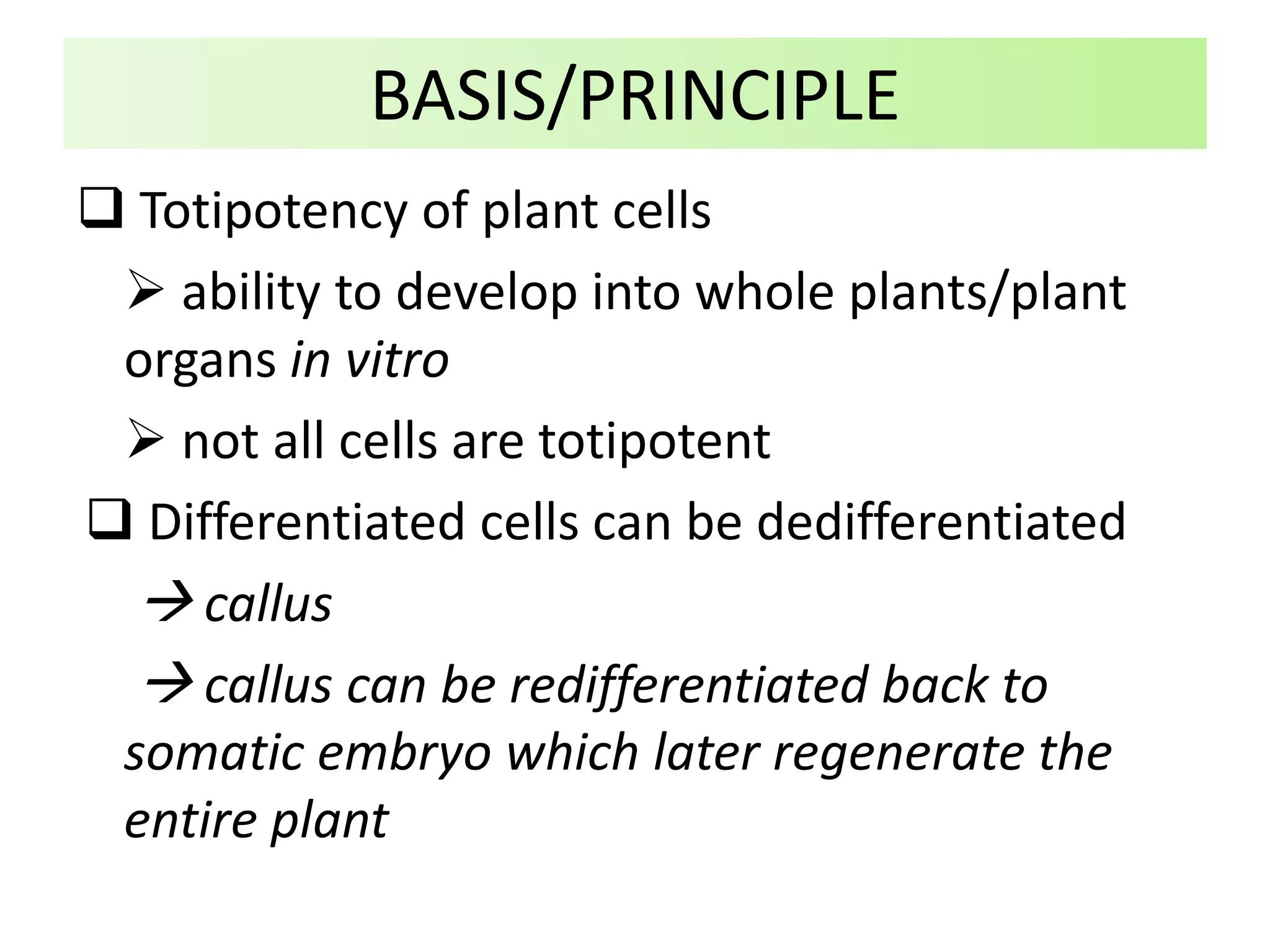  Totipotency of plant cells
 ability to develop into whole plants/plant
organs in vitro
 not all cells are totipotent
 Differentiated cells can be dedifferentiated
 callus
 callus can be redifferentiated back to
somatic embryo which later regenerate the
entire plant
BASIS/PRINCIPLE
 