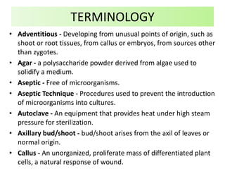 • Adventitious - Developing from unusual points of origin, such as
shoot or root tissues, from callus or embryos, from sources other
than zygotes.
• Agar - a polysaccharide powder derived from algae used to
solidify a medium.
• Aseptic - Free of microorganisms.
• Aseptic Technique - Procedures used to prevent the introduction
of microorganisms into cultures.
• Autoclave - An equipment that provides heat under high steam
pressure for sterilization.
• Axillary bud/shoot - bud/shoot arises from the axil of leaves or
normal origin.
• Callus - An unorganized, proliferate mass of differentiated plant
cells, a natural response of wound.
TERMINOLOGY
 