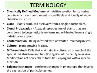 • Chemically Defined Medium - A nutritive solution for culturing
cells in which each component is specifiable and ideally of known
chemical structure.
• Clone - Plants produced asexually from a single source plant.
• Clonal Propagation - Asexual reproduction of plants that are
considered to be genetically uniform and originated from a single
individual or explant.
• Contamination - Being infested with unwanted microorganisms.
• Culture - plant growing in vitro.
• Differentiated - Cells that maintain, in culture, all or much of the
specialized structure and function typical of the cell type in vivo.
Modifications of new cells to form tissues/organs with a specific
function.
• Epigenetic changes - persistent changes in phenotype that involve
the expression of particular genes.
TERMINOLOGY
 