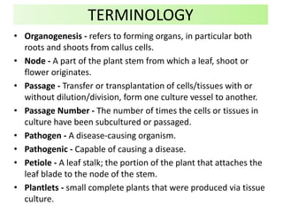 • Organogenesis - refers to forming organs, in particular both
roots and shoots from callus cells.
• Node - A part of the plant stem from which a leaf, shoot or
flower originates.
• Passage - Transfer or transplantation of cells/tissues with or
without dilution/division, form one culture vessel to another.
• Passage Number - The number of times the cells or tissues in
culture have been subcultured or passaged.
• Pathogen - A disease-causing organism.
• Pathogenic - Capable of causing a disease.
• Petiole - A leaf stalk; the portion of the plant that attaches the
leaf blade to the node of the stem.
• Plantlets - small complete plants that were produced via tissue
culture.
TERMINOLOGY
 