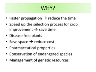 • Faster propagation  reduce the time
• Speed up the selection process for crop
improvement  save time
• Disease free plants
• Save space  reduce cost
• Pharmaceutical properties
• Conservation of endangered species
• Management of genetic resources
WHY?
 