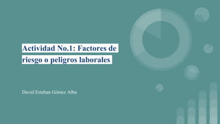 Actividad No.1: Factores de
riesgo o peligros laborales
David Esteban Gómez Alba
 