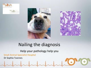 Nailing the diagnosis
Help your pathology help you
Small Animal Specialist Hospital
Dr Sophia Tzannes
 