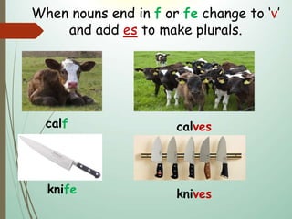 When nouns end in f or fe change to ‘v’
and add es to make plurals.
calf calves
knife knives
 