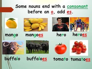 mango mangoes
buffalo buffaloes
hero heroes
tomato tomatoes
 