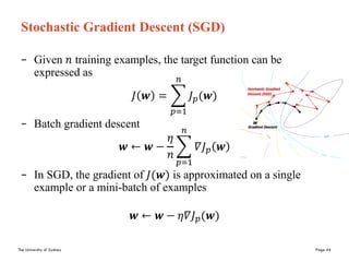 Sgd Example W2 - Multilayer Neural Network Lecture notes university of sydney | PDF