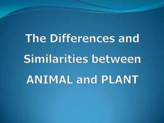 The Differences and Similarities between ANIMAL and PLANT 