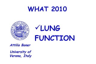 WHAT 2010 ,[object Object],University of Verona, Italy Attilio Boner 