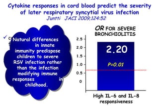 Cytokine responses in cord blood predict the severity of later respiratory syncytial virus infection Juntti  JACI 2009;124:52  2.20 High IL-6 and IL-8 responsiveness OR  FOR SEVERE BRONCHIOLITIS 2.5 – 2.0 – 1.5 – 1.0 – 0.5 – 0 P=0.01 cord blood samples from 1084 newborns  (birth cohort)  47 of these newborns with RSV infection before  6 months of age.  Natural differences  in innate immunity predispose children to severe RSV infection rather than the infection modifying immune responses  in childhood.  