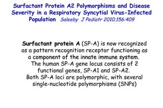 Surfactant protein A  (SP-A) is now recognized as a pattern recognition receptor functioning as a  component of the innate immune system .  The human SP-A gene locus consists of 2 functional genes, SP-A1 and SP-A2.  Both SP-A loci are polymorphic, with several single-nucleotide polymorphisms (SNPs) Surfactant Protein A2 Polymorphisms and Disease Severity in a Respiratory Syncytial Virus-Infected Population   Saleeby  J Pediatr 2010;156:409 