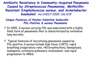 In 1999,  S aureus carrying PVL was associated  with a highly fatal form of pneumonia that is characterized by extensive lung necrosis. Typical features of necrotizing pneumonia caused by  PVL-positive  S aureus  include high fever ( > 39°C), rapid breathing (respiratory rate,  > 40 breaths/min), hemoptysis, leukopenia, extensive pulmonary involvement, and rapid progression to ARDS. Unique Features of Panton-Valentine leukocidin  PVL-Positive S aureus Pneumonia Antibiotic Resistance in Community-Acquired Pneumonia Caused by  Streptococcus Pneumoniae, Methicillin- Resistant S taphylococcus aureus, and Acinetobacter baumannii   Ho CHEST 2009; 136:1119 
