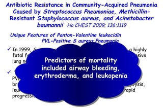 In 1999,  S aureus carrying PVL was associated  with a highly fatal form of pneumonia that is characterized by extensive lung necrosis. Typical features of necrotizing pneumonia caused by  PVL-positive  S aureus  include high fever ( > 39°C), rapid breathing (respiratory rate,  > 40 breaths/min), hemoptysis, leukopenia, extensive pulmonary involvement, and rapid progression to ARDS. Unique Features of Panton-Valentine leukocidin  PVL-Positive S aureus Pneumonia Antibiotic Resistance in Community-Acquired Pneumonia Caused by  Streptococcus Pneumoniae, Methicillin- Resistant S taphylococcus aureus, and Acinetobacter baumannii   Ho CHEST 2009; 136:1119 Predictors of mortality included airway bleeding, erythroderma, and leukopenia 