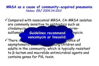 MRSA as a cause of community-acquired pneumonia   Nakou   ERJ 2009:34:1013  Compared with nosocomial MRSA, CA-MRSA isolates are commonly sensitive to antibiotics such as clindamycin, fluoroquinolones, trimethoprim–sulfamethoxazole, tetracyclines and rifampicin. There is evidence of increasing prevalence of asymptomatic colonisation among children and  adults in the community, which is typically resistant to β-lactam and macrolide antimicrobial agents and contains genes for PVL toxin.  Guidelines recommend vancomycin or linezolid.  