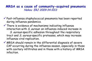 MRSA as a cause of community-acquired pneumonia   Nakou   ERJ 2009:34:1013  Post-influenza staphylococcal pneumonia has been reported during influenza pandemics.  There is evidence of mechanisms indicating influenza interaction with  S. aureus : an influenza-induced increase in  S. aureus -specific adhesion throughout the respiratory tract and  S. aureus -specific proteases, which may increase  influenza viral replication. MRSA should remain in the differential diagnosis of severe CAP occurring during the influenza season, especially in those with cavitary infiltrates and in those with a history of MRSA infection.  