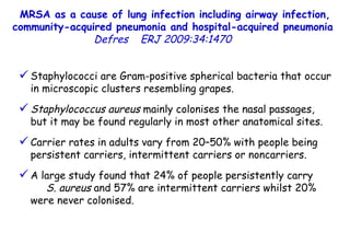 MRSA as a cause of lung infection including airway infection, community-acquired pneumonia and hospital-acquired pneumonia  Defres   ERJ 2009:34:1470  Staphylococci are Gram-positive spherical bacteria that occur in microscopic clusters resembling grapes.  Staphylococcus aureus  mainly colonises the nasal passages, but it may be found regularly in most other anatomical sites.  Carrier rates in adults vary from 20–50% with people being persistent carriers, intermittent carriers or noncarriers.  A large study found that 24% of people persistently carry  S. aureus  and 57% are intermittent carriers whilst 20% were never colonised.  