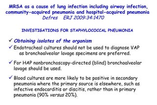 MRSA as a cause of lung infection including airway infection, community-acquired pneumonia and hospital-acquired pneumonia  Defres   ERJ 2009:34:1470  INVESTIGATIONS FOR STAPHYLOCOCCAL PNEUMONIA  Obtaining isolates of the organism Endotracheal cultures should not be used to diagnose VAP  as bronchoalveolar lavage specimens are preferred.  For HAP nonbronchoscopy-directed (blind) bronchoalveolar lavage should be used. Blood cultures are more likely to be positive in secondary pneumonia where the primary source is elsewhere, such as infective endocarditis or discitis, rather than in primary pneumonia (90%  versus  20%).  