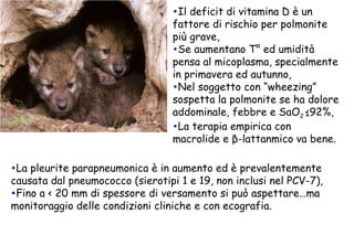 Il deficit di vitamina D è un fattore di rischio per polmonite più grave, Se aumentano T° ed umidità pensa al micoplasma, specialmente in primavera ed autunno, Nel soggetto con “wheezing” sospetta la polmonite se ha dolore addominale, febbre e SaO 2  ≤92%, La terapia empirica con macrolide e  β -lattanmico va bene. La pleurite parapneumonica è in aumento ed è prevalentemente causata dal pneumococco (sierotipi 1 e 19, non inclusi nel PCV-7), Fino a < 20 mm di spessore di versamento si può aspettare…ma monitoraggio delle condizioni cliniche e con ecografia. 