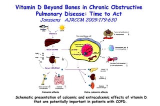 Vitamin D Beyond Bones in Chronic Obstructive Pulmonary Disease: Time to Act Janssens   AJRCCM   2009:179:630  Schematic presentation of calcemic and extracalcemic effects of vitamin D that are potentially important in patients with COPD.  