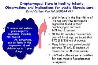 Oropharyngeal flora in healthy infants: Observations and implications for cystic fibrosis care   David Carlson   Ped Pul   2009;44:497 Oropharyngeal cultures. 104 healthy infants <12 months old .  Well infants in the first 48 hr of life had very few pathogenic organisms found in their oropharyngeal cultures;  1/21 had  S. aureus .  Of the 83 samples from infants over 48 hr of age, we found that 27% (23/83) had  S. aureus. Many infants had polymicrobial cultures ( E. coli ,  E. cloacae ,  H. influenzae , or  M. catarrhalis ) .  3.6% of cultures were positive for non-mucoid Pseudomonas aeruginosa.  S. aureus  and enteric gram-negative organisms, including non-mucoid  Ps. aeruginosa , can be found in the oropharynx of well children up to 1 year of age.  