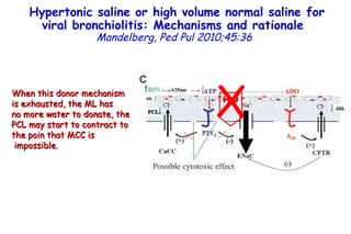 When this donor mechanism is exhausted, the ML has no more water to donate, the PCL may start to contract to the poin that MCC is  impossible. Hypertonic saline or high volume normal saline for viral bronchiolitis: Mechanisms and rationale   Mandelberg,   Ped Pul 2010;45:36 H 2 O X 