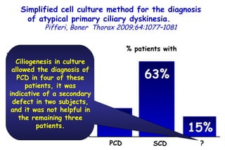 % patients with PCD 22% SCD ? 63% 15% 70 – 60 - 50 - 40 - 30 – 20 – 10 – 0   Ciliary motion analysis (CMA) and transmission electron microscopy (TEM) . 59 subjects with persistent or recurrent pneumonia.   Ciliogenesis in culture allowed the diagnosis of PCD in four of these patients, it was indicative of a secondary defect in two subjects, and it was not helpful in the remaining three patients. Simplified cell culture method for the diagnosis of atypical primary ciliary dyskinesia.  Pifferi, Boner  Thorax 2009;64:1077–1081 