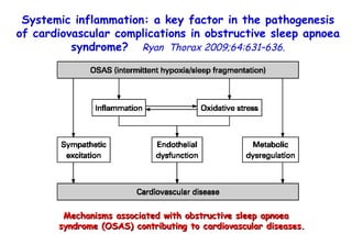 Mechanisms associated with obstructive sleep apnoea syndrome (OSAS) contributing to cardiovascular diseases. Systemic inflammation: a key factor in the pathogenesis of cardiovascular complications in obstructive sleep apnoea syndrome?   Ryan  Thorax 2009;64:631–636. 