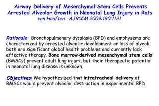 Rationale :  Bronchopulmonary dysplasia (BPD) and emphysema are characterized by arrested alveolar development or loss of alveoli; both are significant global health problems and currently lack effective therapy.  Bone marrow–derived mesenchymal stem cells  (BMSCs) prevent adult lung injury, but their therapeutic potential in neonatal lung disease is unknown.  Objectives :  We hypothesized that   intratracheal delivery  of BMSCs would prevent alveolar destruction in experimental BPD. Airway Delivery of Mesenchymal Stem Cells Prevents Arrested Alveolar Growth in Neonatal Lung Injury in Rats   van Haaften   AJRCCM 2009:180:1131  