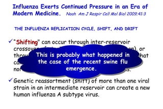 Influenza Exerts Continued Pressure in an Era of Modern Medicine.   Noah   Am J Respir Cell Mol Biol 2009;41:3  “ Shifting " can occur through inter-reservoir crossover of strains (i.e., from avian to human), or through an intermediate reservoir (e.g., swine) that can be infected by separate strains that are normally specific for either birds or humans.  Genetic reassortment (shift) of more than one viral strain in an intermediate reservoir can create a new human influenza A subtype virus.  This is probably what happened in the case of the recent swine flu emergence.  THE INFLUENZA REPLICATION CYCLE, SHIFT, AND DRIFT  