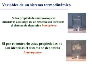 Si las propiedades macroscópicas
intensivas a lo largo de un sistema son idénticas
el sistema de denomina homogéneo
Si por el contrario estas propiedades no
son idénticas el sistema se denomina
heterogéneo
Variables de un sistema termodinámico
 