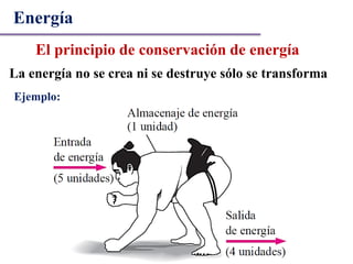Energía
El principio de conservación de energía
La energía no se crea ni se destruye sólo se transforma
Ejemplo:
 