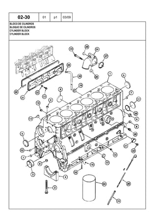 CYLINDER BLOCK
CYLINDER BLOCK
BLOQUE DE CILINDROS
02-30 01 p1 03/09
BLOCO DE CILINDROS
 