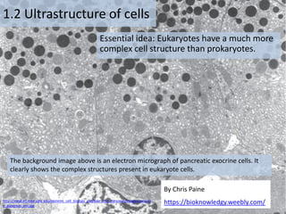 By Chris Paine
https://bioknowledgy.weebly.com/
1.2 Ultrastructure of cells
Essential idea: Eukaryotes have a much more
complex cell structure than prokaryotes.
The background image above is an electron micrograph of pancreatic exocrine cells. It
clearly shows the complex structures present in eukaryote cells.
By Chris Paine
https://bioknowledgy.weebly.com/
http://medcell.med.yale.edu/systems_cell_biology_old/liver_and_pancreas/images/exocrin
e_pancreas_em.jpg
 