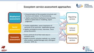 Regulating
services
Ecosystem service assessment approaches
Cultural
services
Provisioning
services
• Characterization of ...