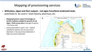 Mapping of provisioning services
 Wild plans, algae and their outputs - red algae Furcellaria lumbricalis beds,
potential...