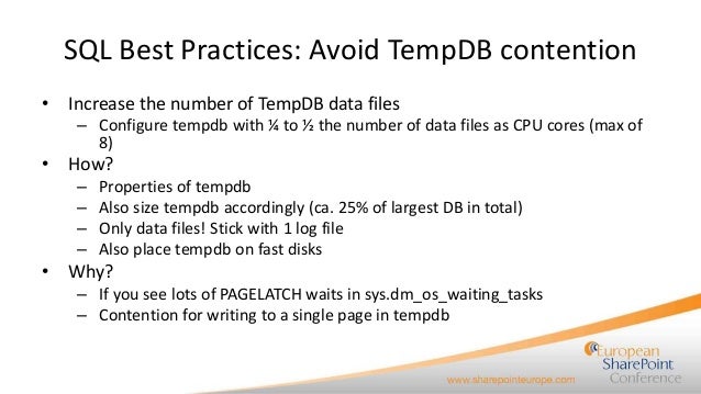 Sql database options best practices