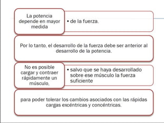 Functional training idde progresiones